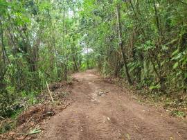 Development Land (Residential) for Sale Portland, 