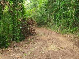 Development Land (Residential) for Sale Portland, 