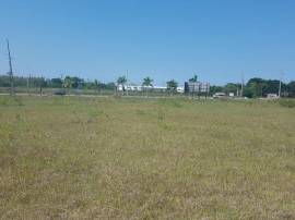 Commercial Lot for Sale St. James, Montego Bay