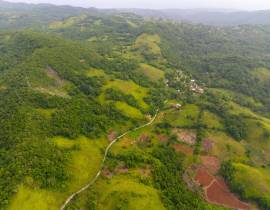 Farm/Agriculture for Sale St. Ann, Claremont