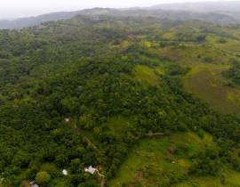 Farm/Agriculture for Sale St. Ann, Claremont