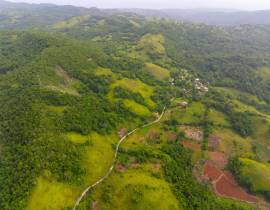 Farm/Agriculture for Sale St. Ann, Claremont