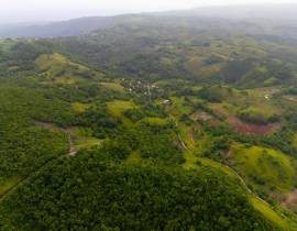 Farm/Agriculture for Sale St. Ann, Claremont