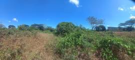 Development Land (Residential) for Sale St. James,