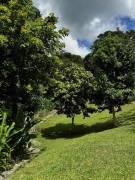 House for Sale Kingston & St. Andrew, Kingston 6