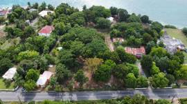 House for Sale Westmoreland, Culloden