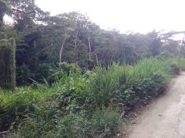 Development Land (Residential) for Sale St. James,