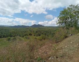 Farm/Agriculture for Sale St. James, Cambridge