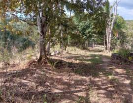 Farm/Agriculture for Sale St. James, Cambridge