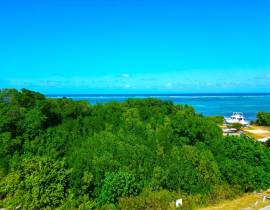 Development Land (Residential) for Sale St. James,