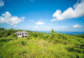 House for Sale St. Ann, Belle Air