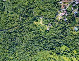 House for Sale St. Ann, Belle Air