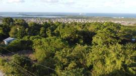 Development Land (Residential) for Sale Trelawny, 