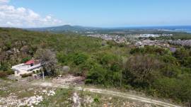 Development Land (Residential) for Sale Trelawny, 