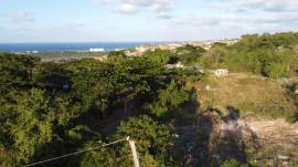 Development Land (Residential) for Sale Trelawny, 