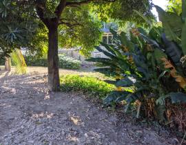 Development Land (Residential) for Sale Kingston &