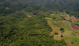 Development Land (Residential) for Sale St. Elizab