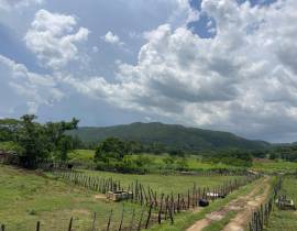 Development Land (Residential) for Sale St. Elizab