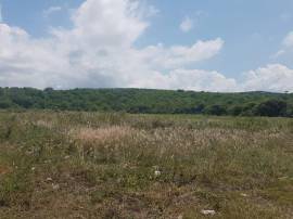 Commercial Lot for Sale St. James, Montego Bay