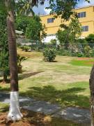 House for Rent Manchester, Mandeville