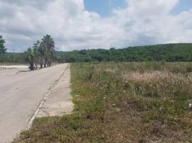 Commercial Lot for Sale St. James, Montego Bay