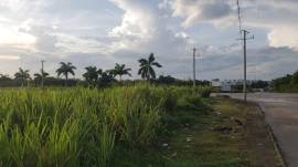 Commercial Lot for Sale St. James, Montego Bay