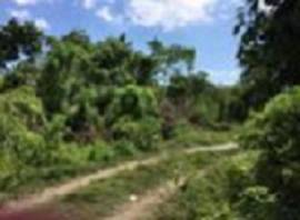 Development Land (Residential) for Sale St. Mary, 