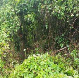 Development Land (Residential) for Sale St. Mary, 