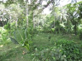 Development Land (Residential) for Sale St. Mary, 
