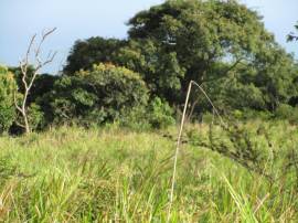 Development Land (Residential) for Sale St. Mary, 