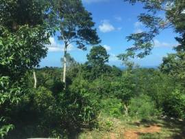 Development Land (Residential) for Sale St. Mary, 