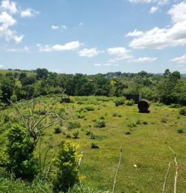 Farm/Agriculture for Sale St. Ann, Epworth