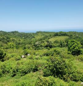 Farm/Agriculture for Sale St. Ann, Epworth