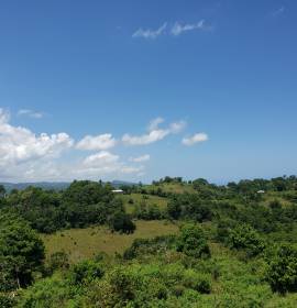 Farm/Agriculture for Sale St. Ann, Epworth