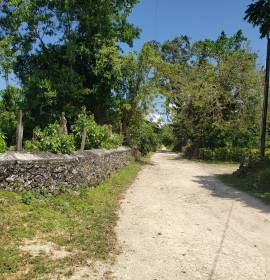 Farm/Agriculture for Sale St. Ann, Epworth