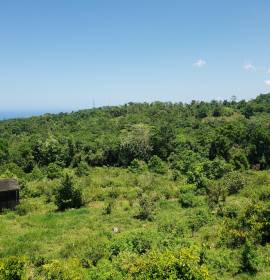 Farm/Agriculture for Sale St. Ann, Epworth