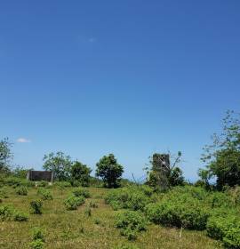 Farm/Agriculture for Sale St. Ann, Epworth