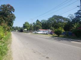 Development Land (Commercial) for Sale St. Mary, P