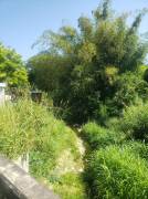 Development Land (Commercial) for Sale St. Mary, P