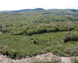 Development Land (Residential) for Sale Trelawny, 