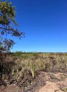 Development Land (Residential) for Sale Westmorela