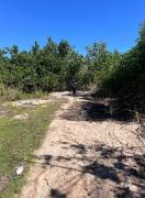 Development Land (Residential) for Sale Westmorela