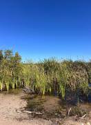 Development Land (Residential) for Sale Westmorela