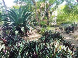 Resort Apartment/Villa for Sale Westmoreland, Negr