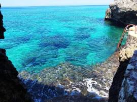 Resort Apartment/Villa for Sale Westmoreland, Negr