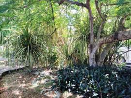 Resort Apartment/Villa for Sale Westmoreland, Negr