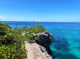 Resort Apartment/Villa for Sale Westmoreland, Negr