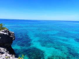 Resort Apartment/Villa for Sale Westmoreland, Negr