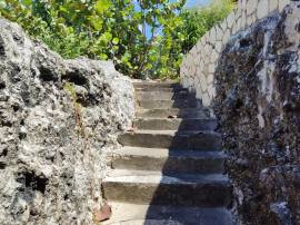 Resort Apartment/Villa for Sale Westmoreland, Negr