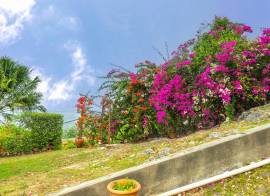 House for Sale Kingston & St. Andrew, Red Hills